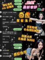 台北定點茶-蛇蛇/161/43/22/E