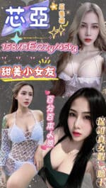 新北定點茶-芯亞/158/45/22/E