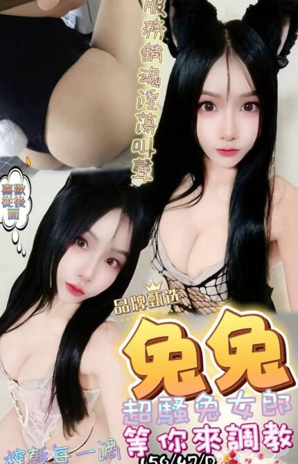 屏東定點茶-兔兔/156/47/?/D