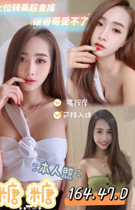 花蓮定點茶-糖糖/164/47/?/D