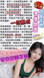 苗栗定點茶-黛絲/164/47/23/D