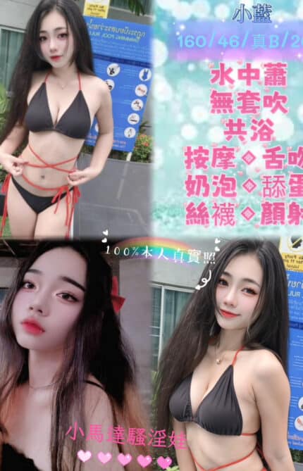 新北定點茶-小藍/160/46/20/B