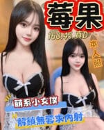 台中定點茶-莓果/160/45/19/D