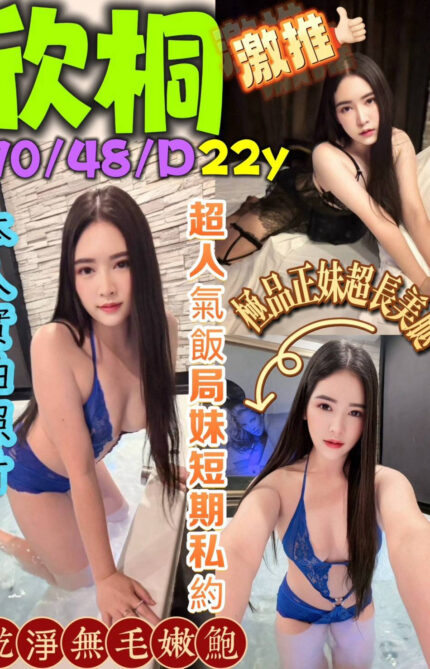 台中定點茶-欣桐/170/48/22/D