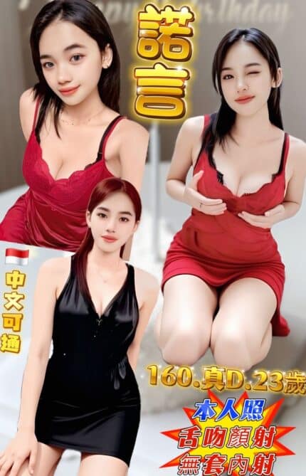 新北定點茶-諾言/160/50/23/D