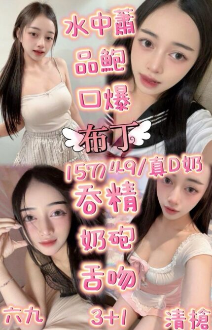 苗栗定點茶-布丁/157/48/22/D
