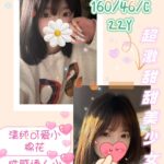 台中定點茶-小魚兒/160/46/22/C