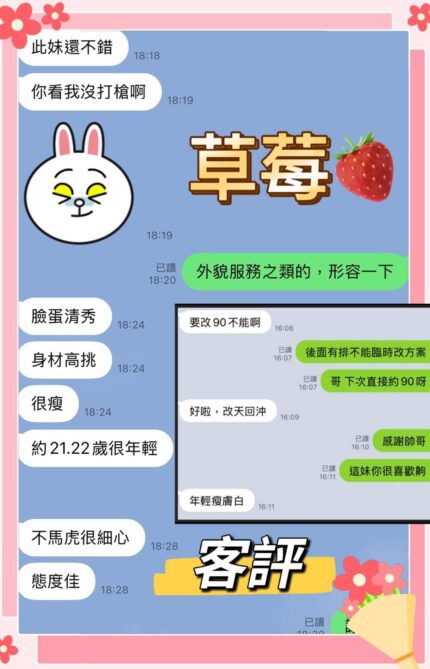 新北定點茶-草莓/168/45/20/D