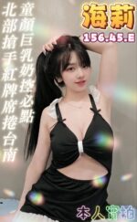 台南定點茶-海莉/156/45/22/E