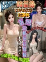 新竹定點茶-韓韶禧/170/48/22/E