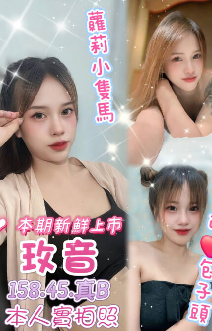 嘉義定點茶-玫音/158/45/23/B