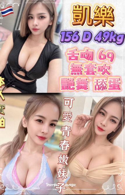 新北定點茶-凱樂/156/49/?/D