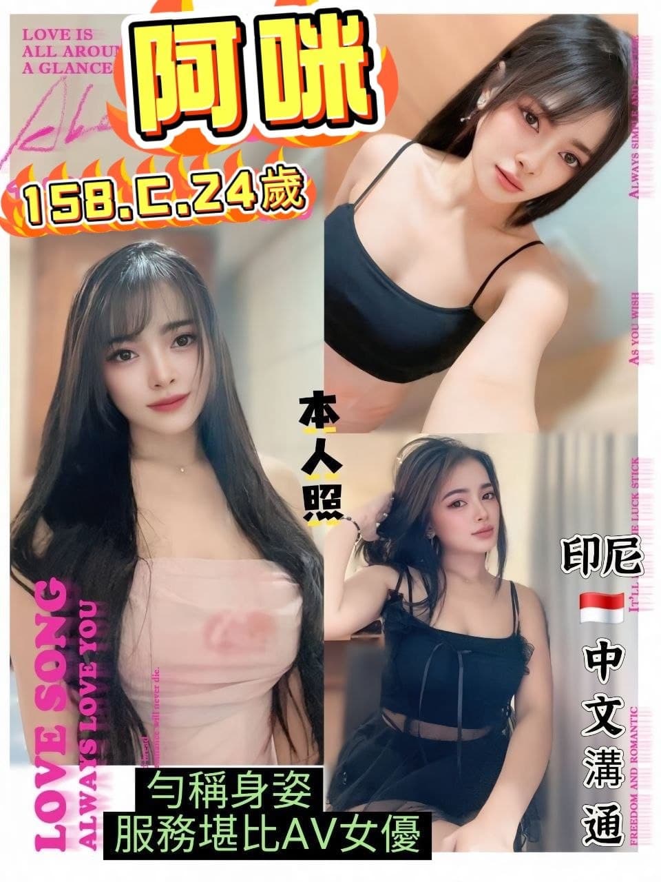 台北定點茶-阿咪/158/46/24/C 台北定點茶-阿咪/158/46/24/C
