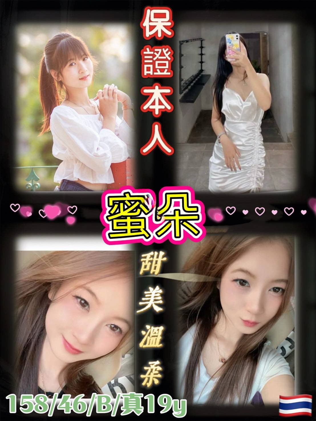 台北定點茶-蜜朵/157/46/19/B 台北定點茶-蜜朵/157/46/19/B