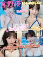 桃園定點茶-宮野優/164/48/23/E