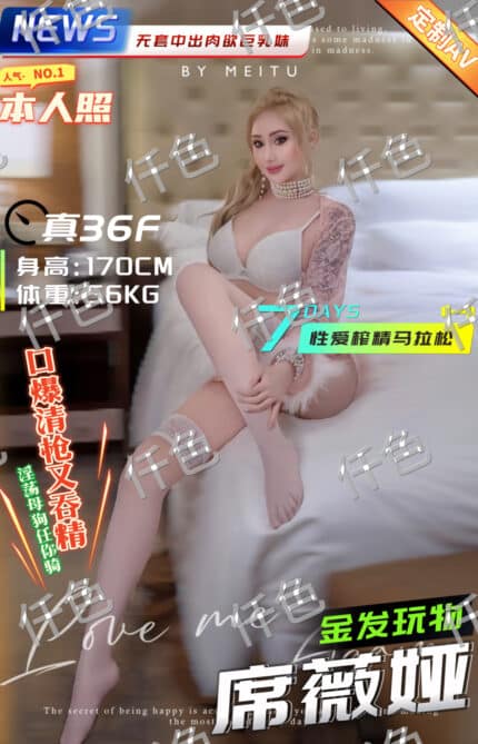 台中定點茶,外送茶-席薇婭/162/51/29/C