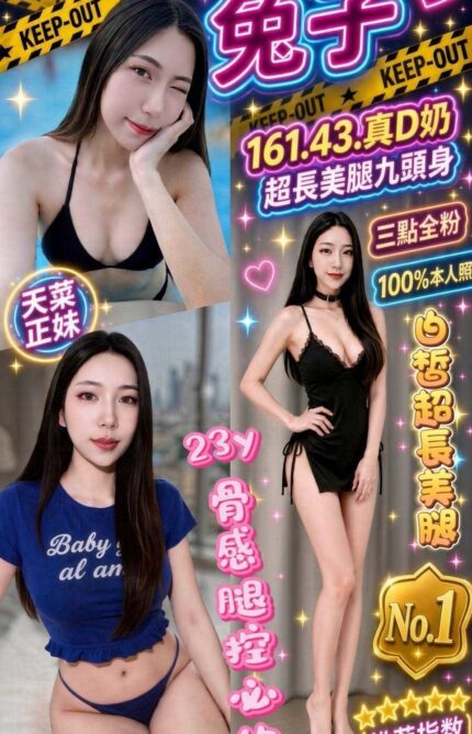 新竹定點茶-兔子/161/43/?/D