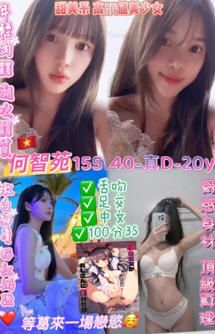 桃園定點茶-何智苑/155/40/20/D