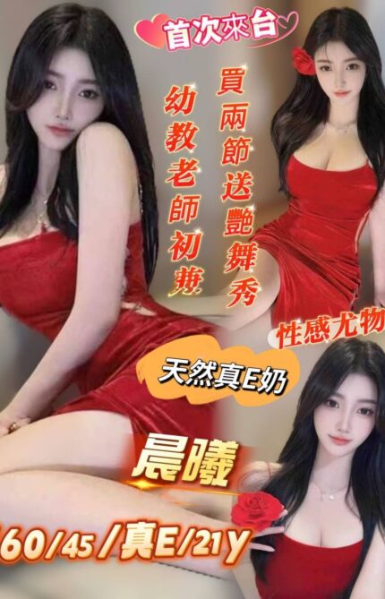 台南定點茶-晨曦/160/45/21/E