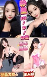新北定點茶-紗里/152/42/24/D