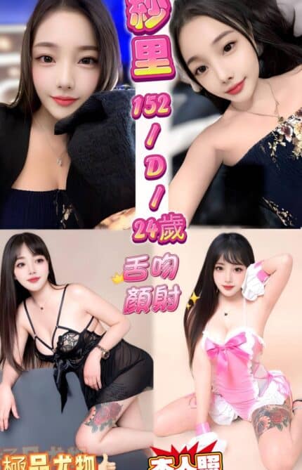 新北定點茶-紗里/152/42/24/D