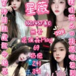 新竹定點茶-星薇/160/45/20/C