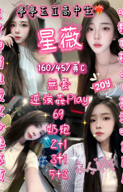 新竹定點茶-星薇/160/45/20/C