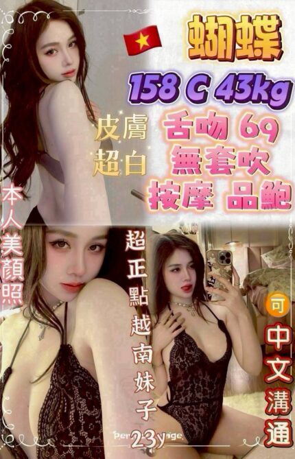 新北定點茶-蝴蝶/158/43/?/C