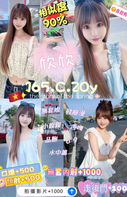 新北定點茶-欣欣/166/46/29/C