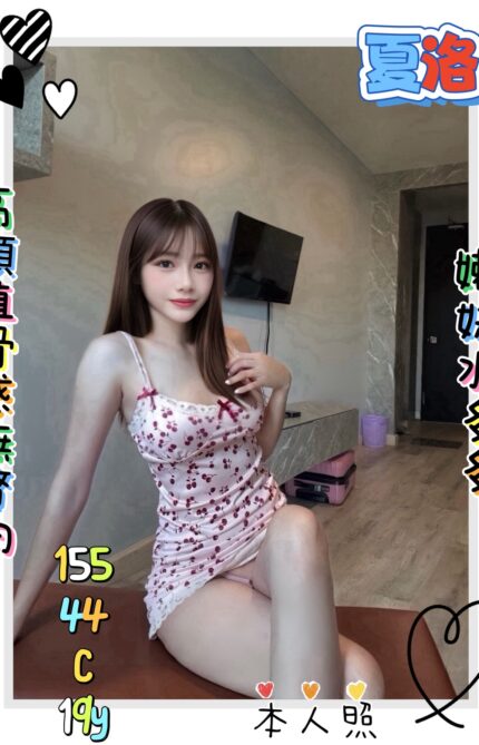 新北定點茶-夏洛/155/44/19/C