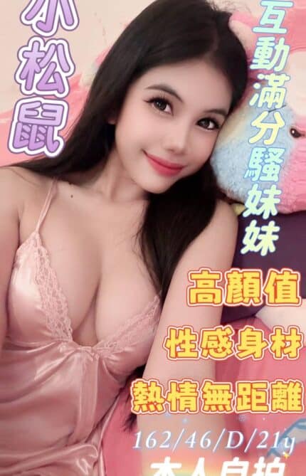 雲林定點茶-小松鼠/162/46/21/D