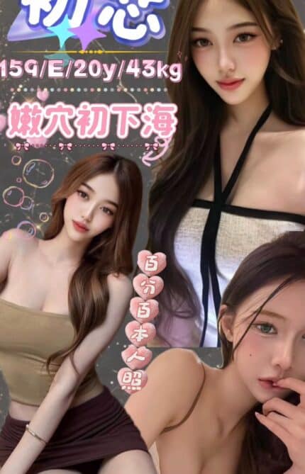 台北定點茶-初芯/159/43/20/E