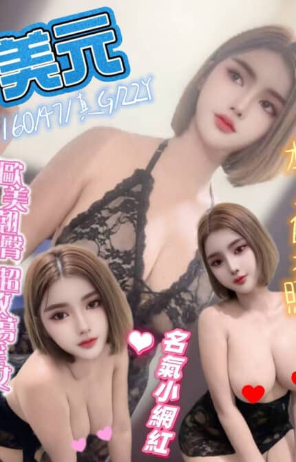 新北定點茶-美元/160/47/22/G