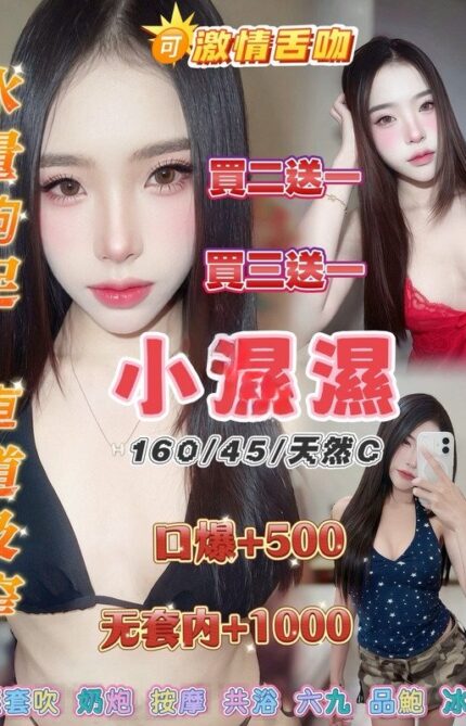 桃園定點茶-小濕濕/160/45/20/B