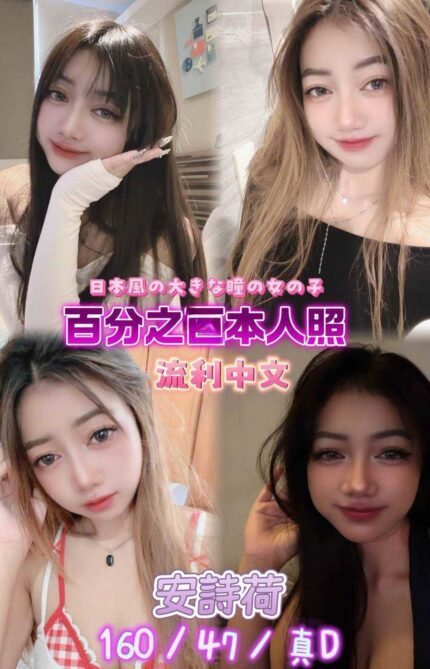 新北定點茶-安詩荷/160/47/22/D