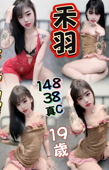 高雄定點茶-禾羽/165/54/32/C
