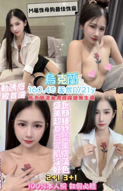桃園定點茶-烏克蘭/160/45/21/D