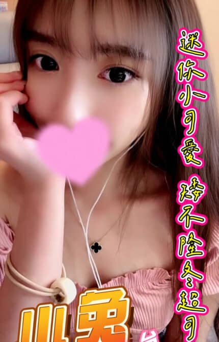 新北定點茶-小兔/148/45/22/C