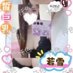 新北定點茶-若雪/166/45/29/C