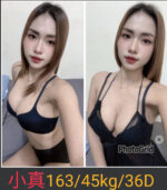 南投定點茶-小真/164/55/27/C