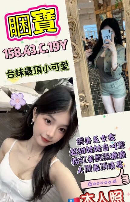 高雄定點茶-睏寶/158/43/19/C