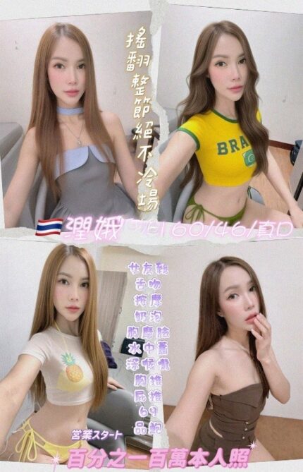 新北定點茶-潤娥/160/46/26/D