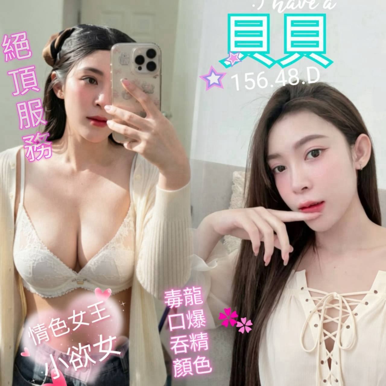 台南定點茶-貝貝/156/48/24/D 台南定點茶-貝貝/156/48/24/D