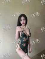 苗栗定點茶-小母狗/161/50/31/C