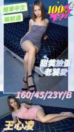 嘉義定點茶-王心凌/160/45/23/B