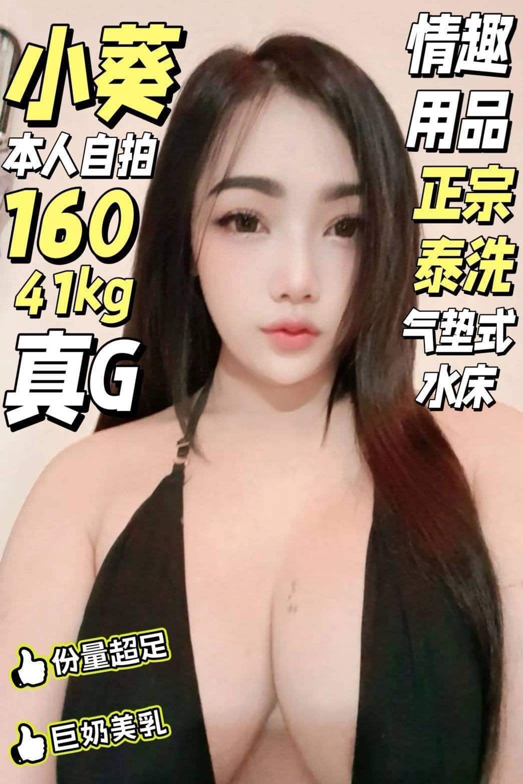 台南定點茶-小葵/160/41/22/G 台南定點茶-小葵/160/41/22/G