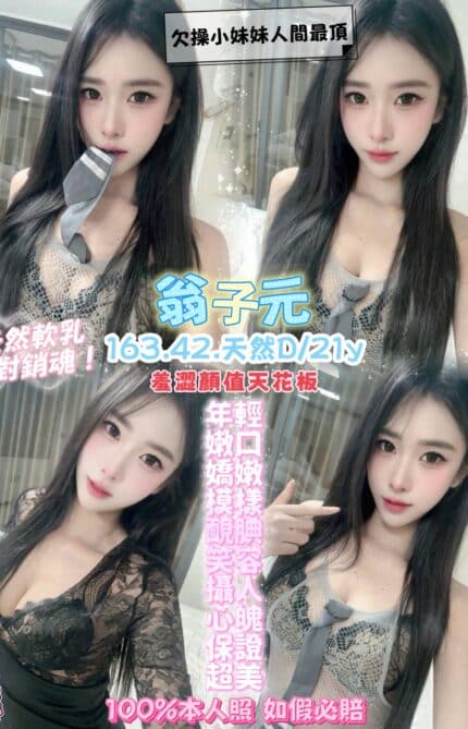 桃園定點茶-翁子元/163/42/21/D