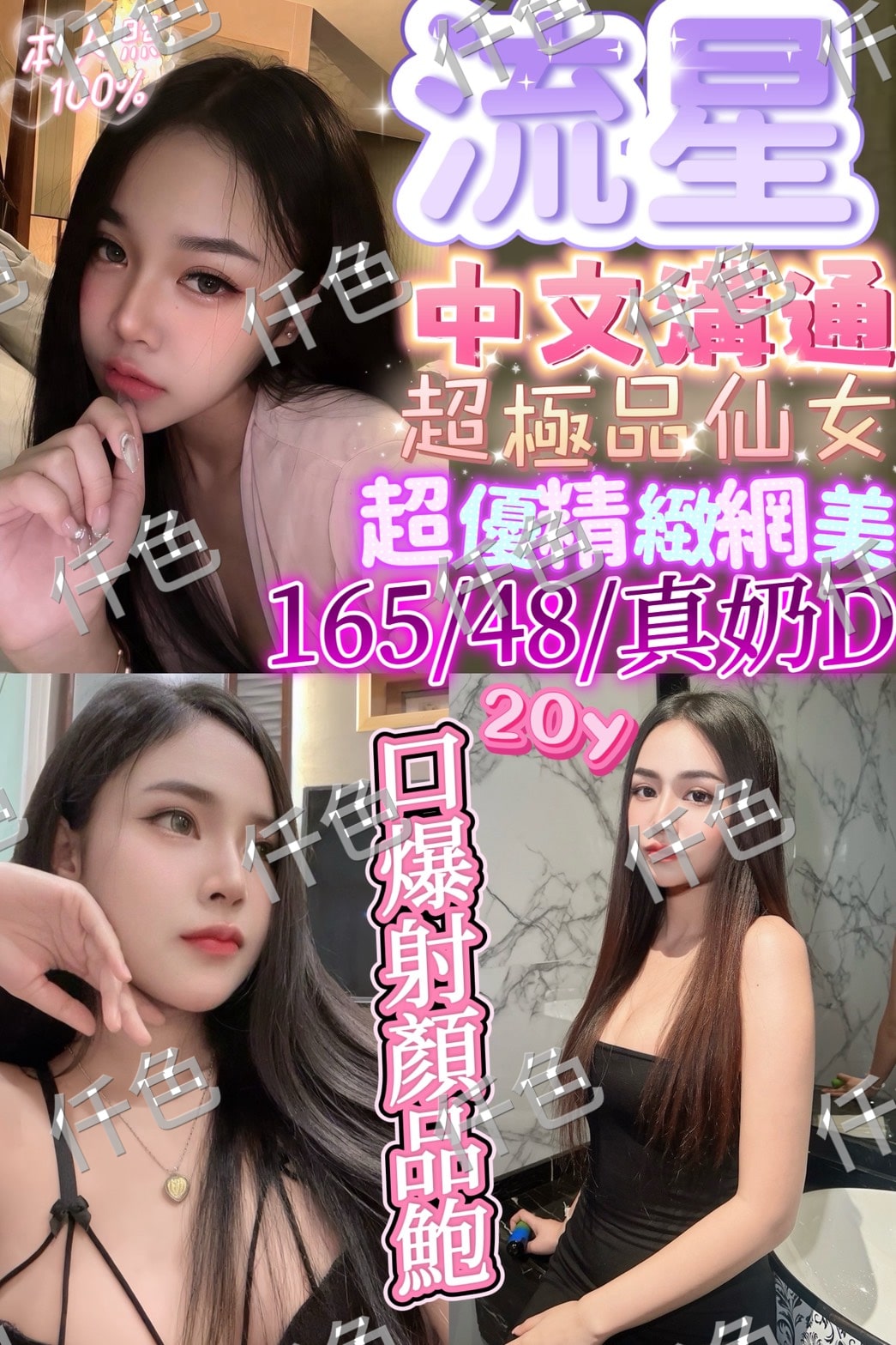 苗栗定點茶-流星/167/50/26/C 苗栗定點茶-流星/167/50/26/C