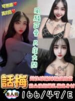 台東定點茶-話梅/166/47/?/E