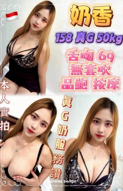 新北定點茶-奶香/158/50/?/G